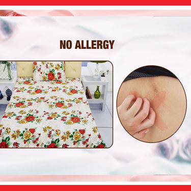 10 Bedsheet Sets + 15 Pillow Covers Mega Combo (5DSBS1)
