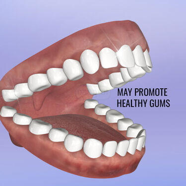 Instant Sensitivity Tooth Paste (OCTP1)