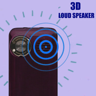 4G Dual SIM Big Torch Big Battery Mobile (K29Pro)