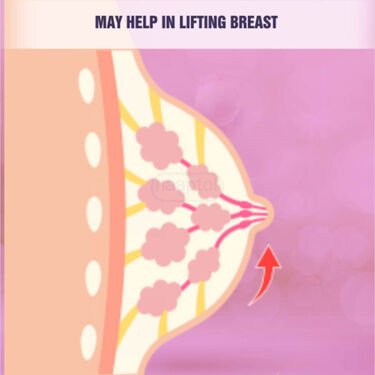 Breast Up lifting Tightening Cream (BFC)