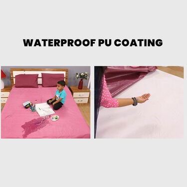 Buy1 Get 1 Washable Urine Protector Sheet with 2 Pillow Protector Free (DMP5)