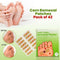 Corn Removal Patches Pack of 42 (PRS36)