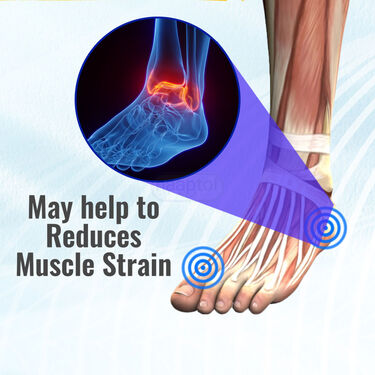 Foot Support For Pain Relief (FSP02)