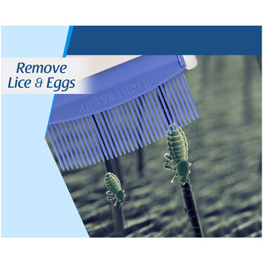 Hair Head Lice And Eggs Remover (HLR1)